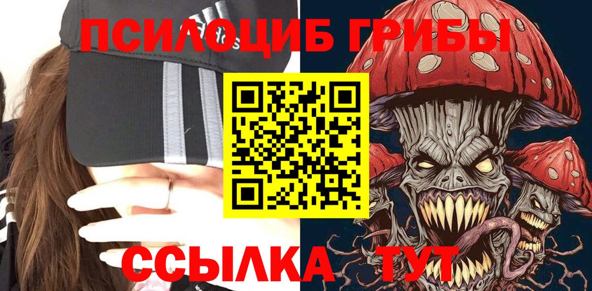 Галлюциногенные грибы Psilocybine cubensis  Вход с VPN  Биробиджан  Псилоцибиновые грибы мицелий 