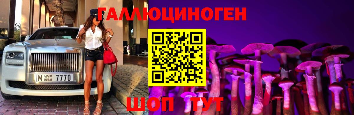 Галлюциногенные грибы Psilocybe Биробиджан